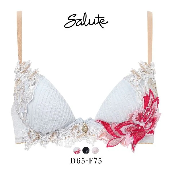ワコール サルート 38グループ 38G フロントエックスプラス ブラジャー DEF 谷間 Waco