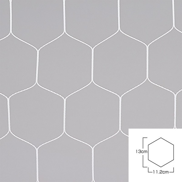 エバニュー EKD864 ハンドゴールネット検定亀甲H114