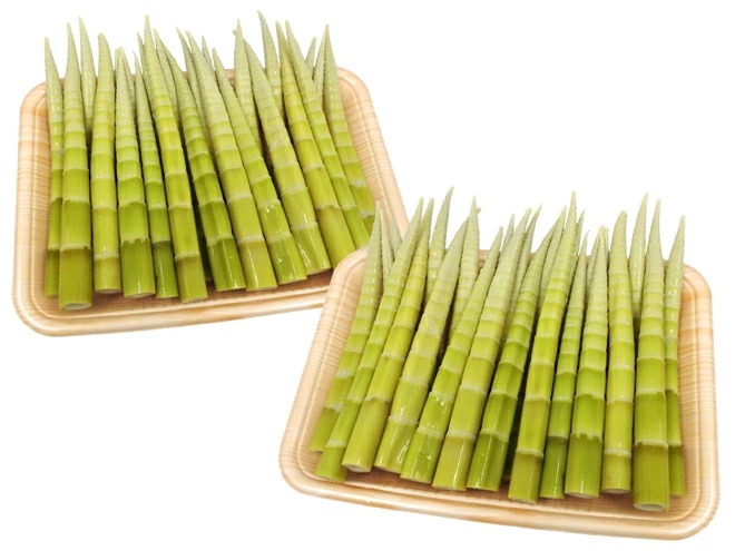 =高知産 四方竹= 秀品 S/M/L 約2kg たけのこ 予約 10月以降