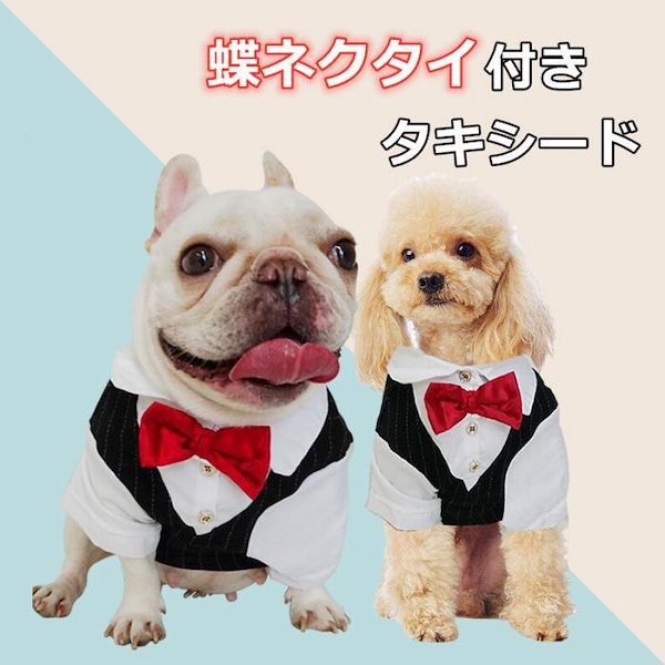 犬 販売 蝶ネクタイ 結婚式