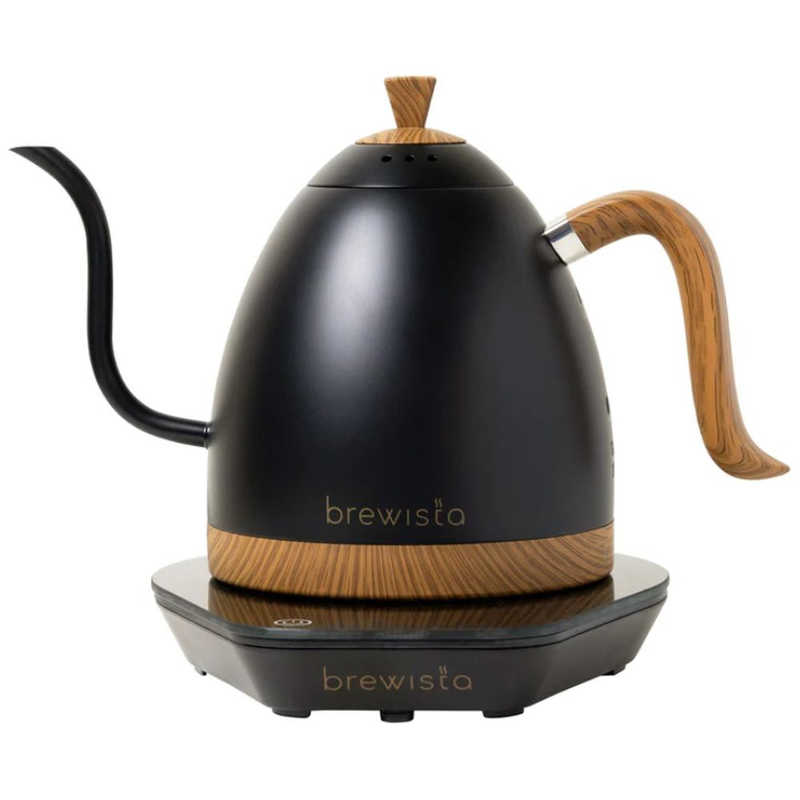 スピン　brewista アルティザングースネックバリアブルケトル 1.0L マットブラック　BR6110GVKJP