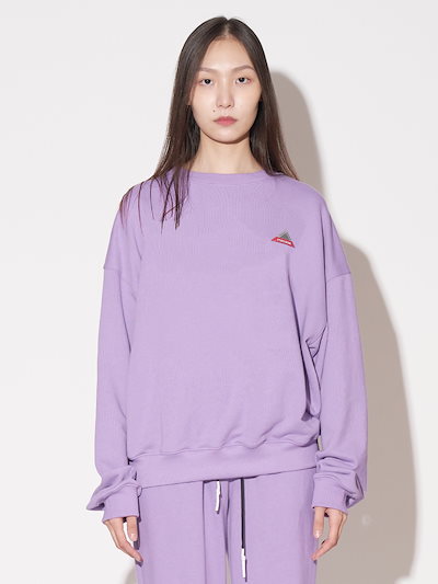 レア】新品 辻 修窯 盛り付け皿 風に揺れる 野の花 平皿 サイン 日本