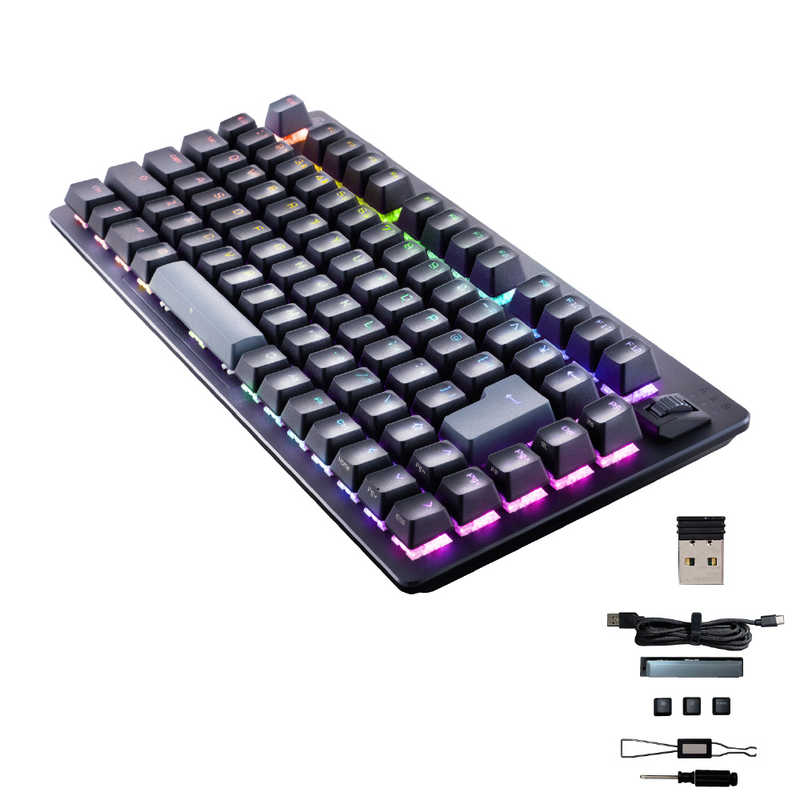 エレコム　ELECOM　ゲーミングキーボード リニア 赤軸 メカニカル キーボード 75％サイズ 日本語配列 RGB 着脱式ケーブル テンキーレス V custom ブラック　TKVK520LBK