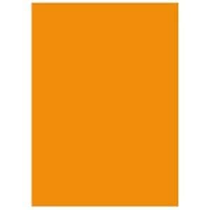 (業務用5セット) 北越製紙 カラーペーパー/リサイクルコピー用紙 A5 500枚10冊 日本製 オレンジ