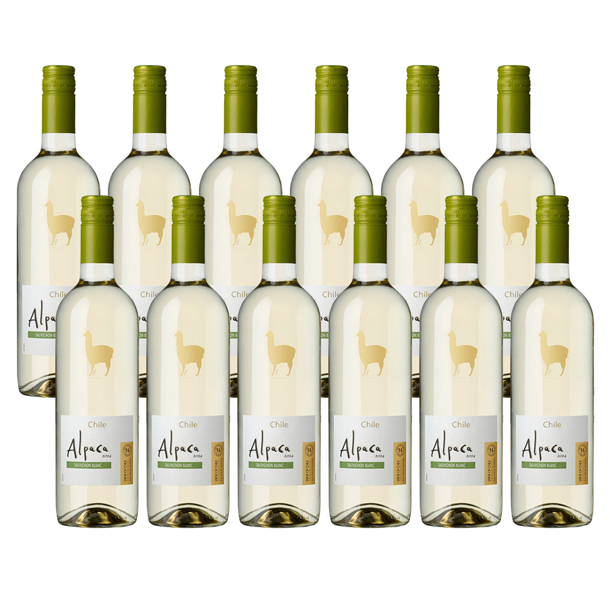 【送料無料】サンタヘレナ アルパカ ソーヴィニヨンブラン 750ml 12本 【北海道沖縄県東北四国九州地方は必ず送料がかかります】