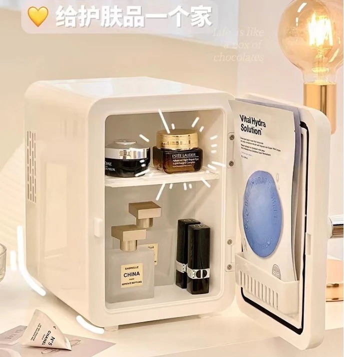 美容品を保存する 電化製品 冷凍家電 6L 車両用 コンパクト 冷蔵庫 新品冷凍ツール 冷凍庫 家庭用 110v 小型家庭用 小型