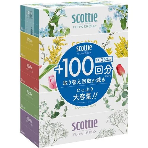 �X�R�b�e�B �e�B�V���[�t�����[�{�b�N�X 500��(250�g)×5���p�b�N