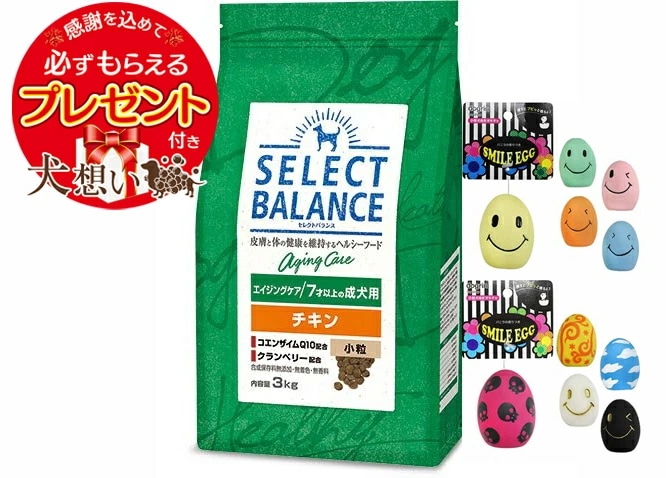 【プレゼント付】セレクトバランス エイジングケア チキン 小粒 ７才以上の成犬用 3kg【スマイルエッグ付】