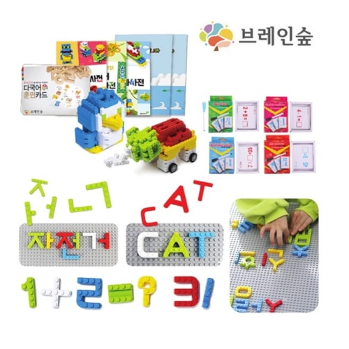 ブレインフォレストレタリングブロック3種カードセット幼稚園児童家学院教習教区団体創造力