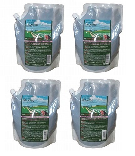 Qoo10最安値挑戦 自然派 ザクロ精炭酸シャンプー800ml【詰替え】【4個セット】