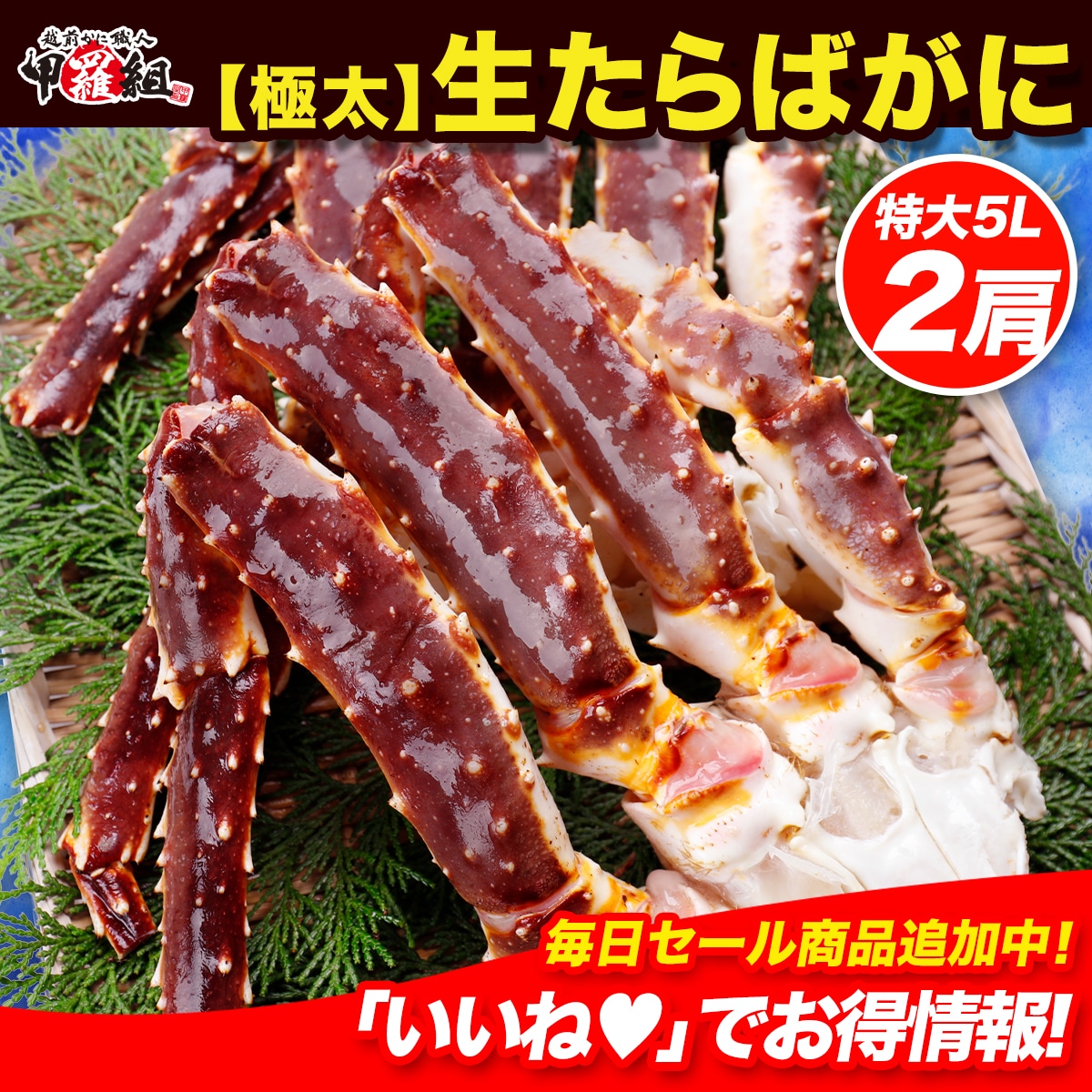 特大＆極太 生たらばがに足1kg前後×2肩シュリンク包装 タラバガニ たらば蟹 かに