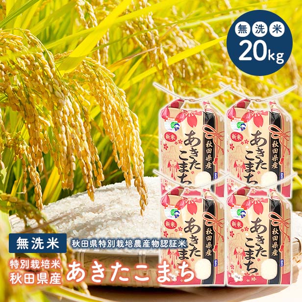 ふるさと納税 大館市 秋田県特別栽培米あきたこまち「まごころ米(無洗米)」10kg