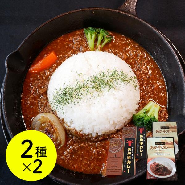 熊本和牛 あか牛カレー詰合せセット あか牛カレーx2 あか牛100％挽肉カレーx2 SISK