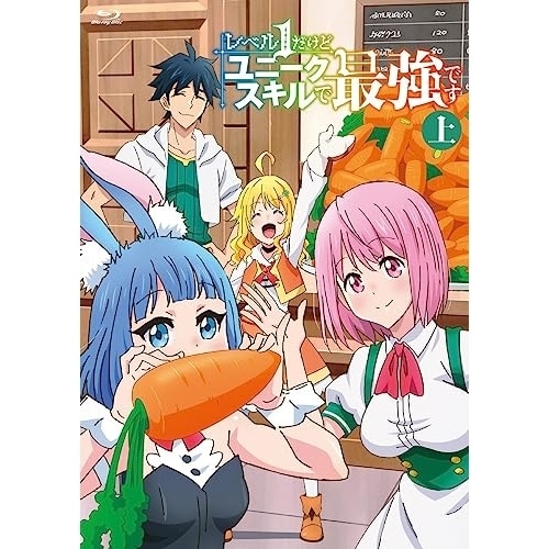 レベル1だけどユニークスキルで最強です(上巻)(Blu-ray Disc) (Blu-ray) BDX-1017S