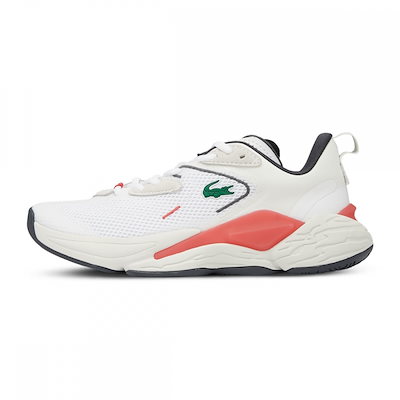 ✨サブシセリス錦✨美苗 カット苗 【公式通販】