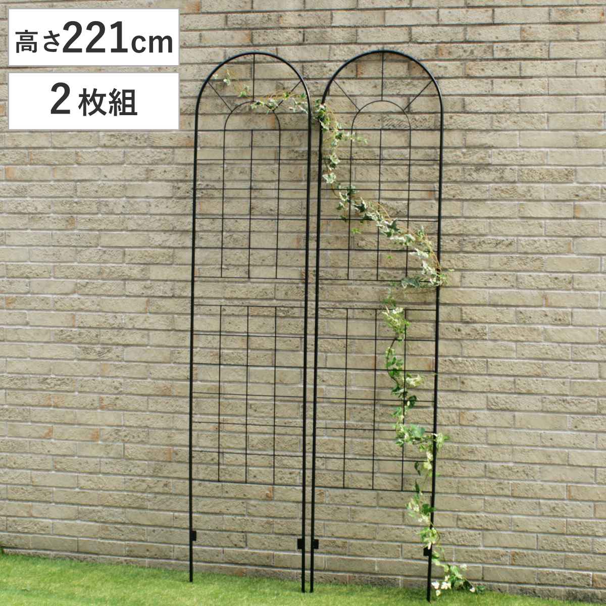 フェンス アイアンフェンス ハイタイプ 高さ221cm 2枚組 ガーデンフェンス インテリア ガーデニング雑貨 アンティーク おしゃれ ガーデニング アイアン 鉄 ディスプレイ オブジェ 置物