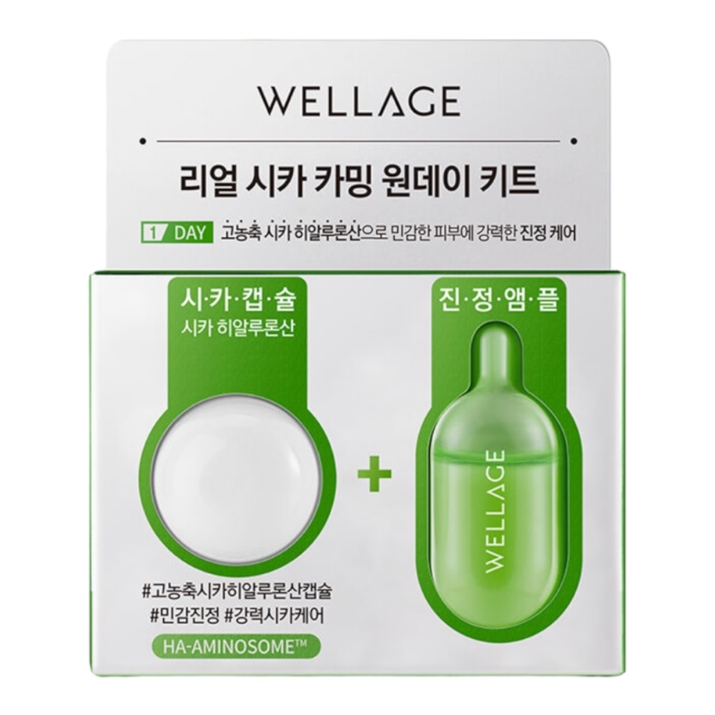 リアルシカ カミングワンデーキット 6個