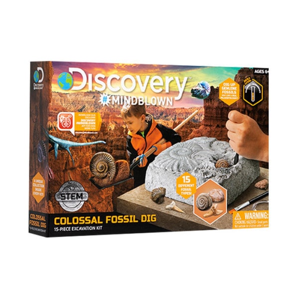 ディスカバリー-古代化石掘り-15pcs-1423005741