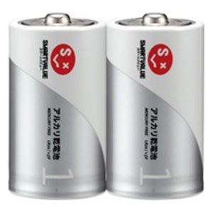ジョインテックス アルカリ乾電池 単1x100本 N121J-2P-50