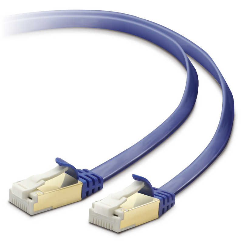 エレコム ELECOM CAT7対応 LANケーブル 10G対応 (ブルーメタリック10m) LD-TWSFT/BM100