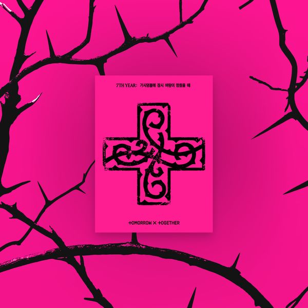 [5種セット] (PPULBATU VER.) TOMORROW X TOGETHER [7TH YEAR: 가시덤불에 잠시 바람이 멈췄을 때] (WEVERSE ALBUMS VER.) TXT