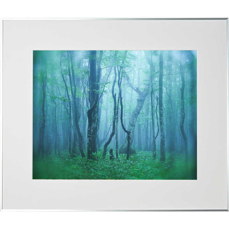 ケンコー　ギャラリー 全紙 シルバー　AGY-Z-SV