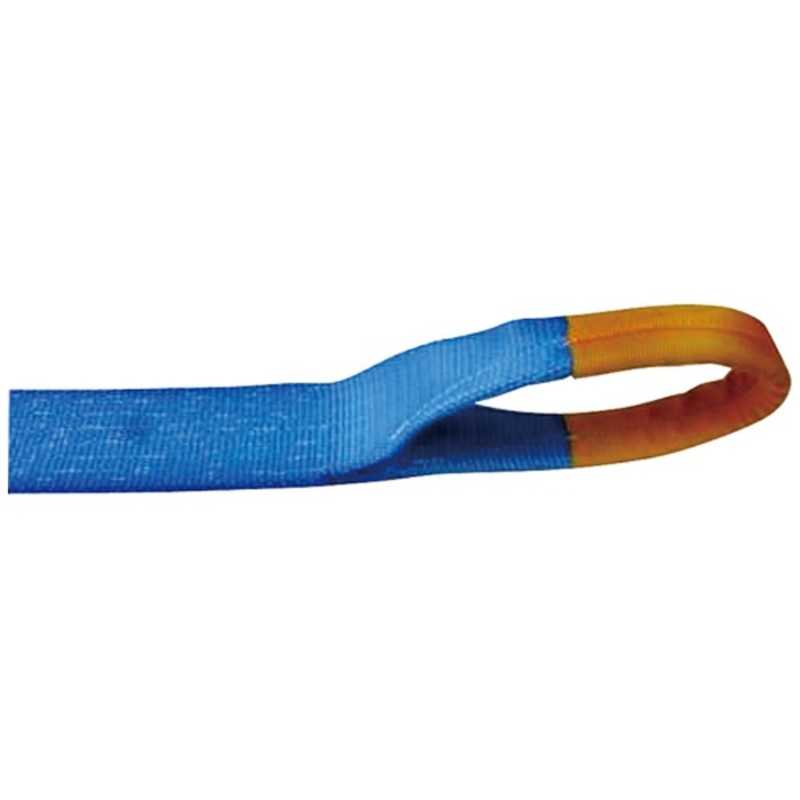 テザック　TESAC ラッシングベルト(ベルト荷締機)ラチェットバックル式アイタイプ　R100E010-070A