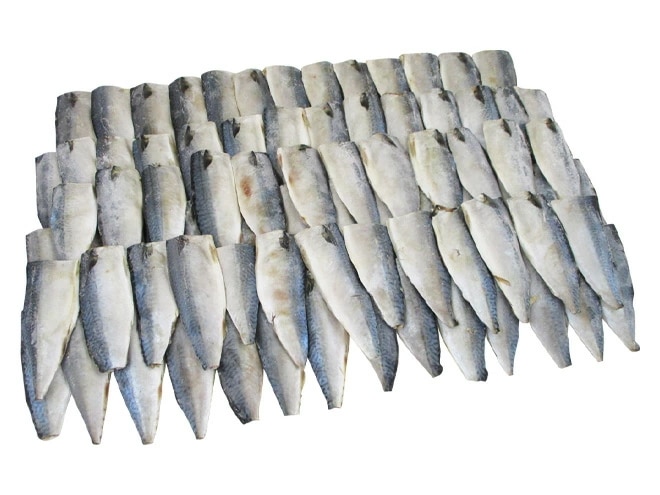 国産 =昆布仕込み 塩鯖フィレ= 訳あり 約10kg 大きさおまかせ 三枚おろし サバ