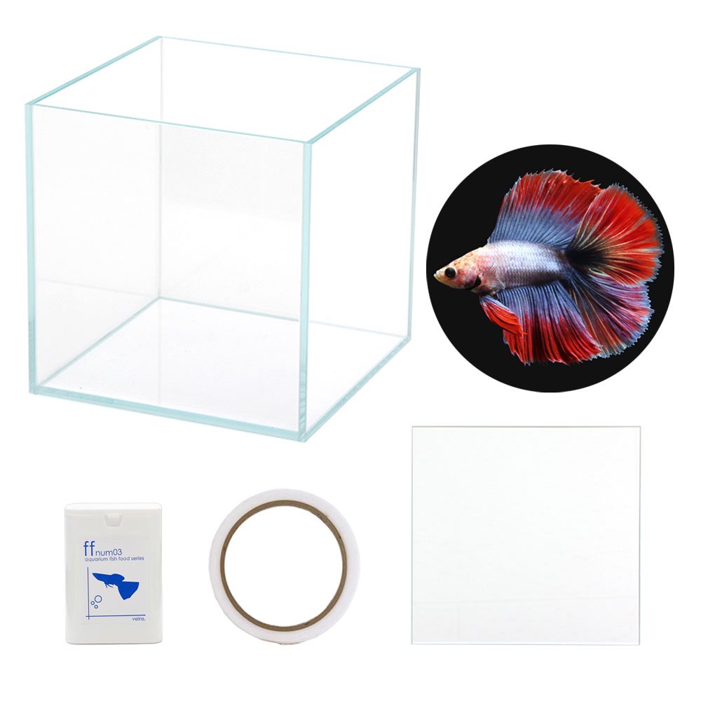 （熱帯魚）ベタ飼育セット　ガラス水槽　ダブルテール　お一人様５点限り　本州四国限定　ＣＲＣ13―08―10―00―00