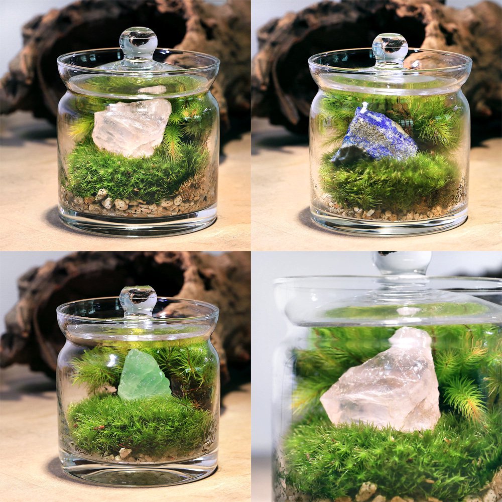 （観葉植物）苔テラリウム　鉱石レイアウト人気３種セット　ラピスラズリ　グリーンフローライト　ローズクォーツ　説明書付（１セット）　ＣＲＣ15―70―40―00―00