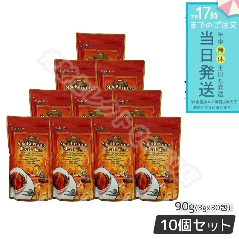 【10個セット】 エステプロラボ スパ バーニング ハーブティー プロ 3g30 代謝系 健康茶 Esthe Pro Labo