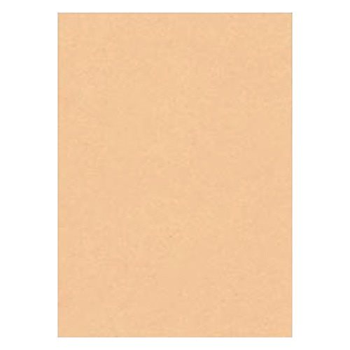 （まとめ買い）リンテック 色画用紙 ニューカラー 4切判 392x542mm 100枚 うすだいだい GO4NCR-103 [x3]