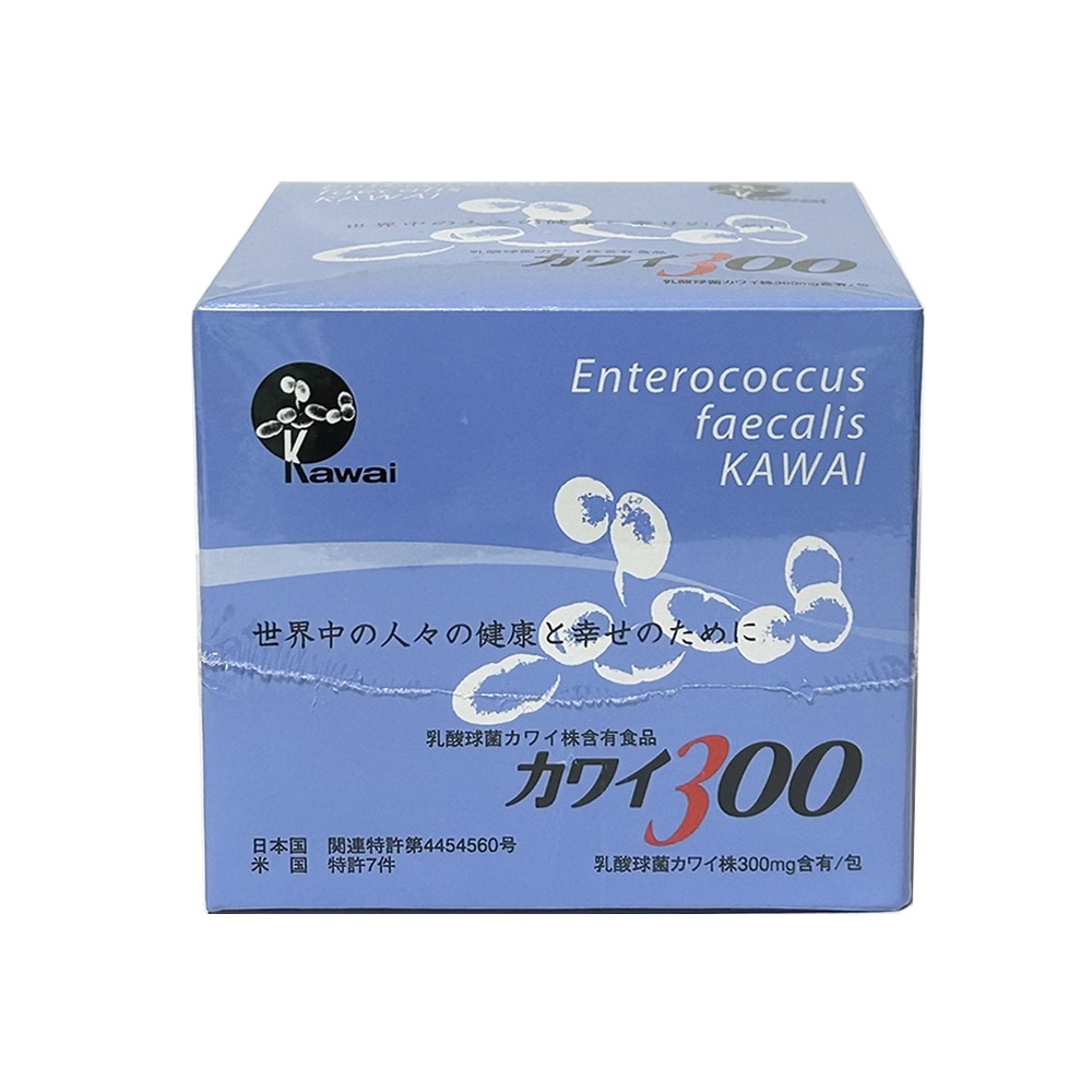 300 乳酸球菌カワイ株300ｍｇ含有/包 (１箱 １ｇ×１００包)