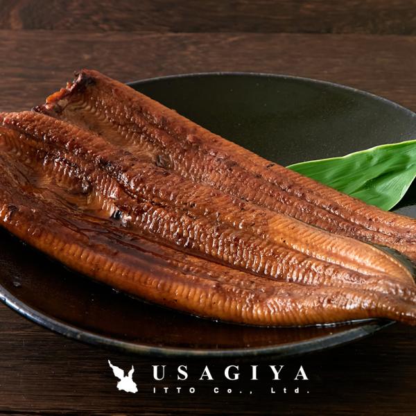 うなぎ 国産 蒲焼き ウナギ 国産うなぎ 鰻 うなぎの蒲焼き 2袋 鹿児島県産 タレ付き 大きい 特大 サイズ 日本ギフト大賞 鹿児島県賞受賞