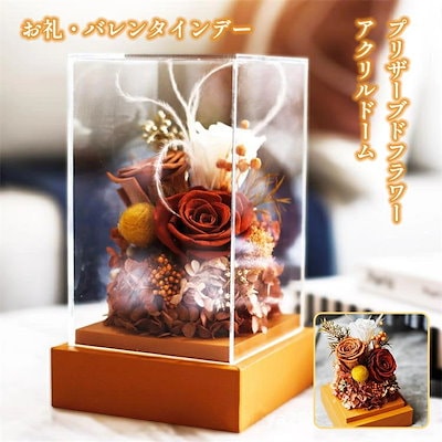 ☆美品☆RUFFLOG ラフロッグ レディース セットアップ サイズ S 【公式