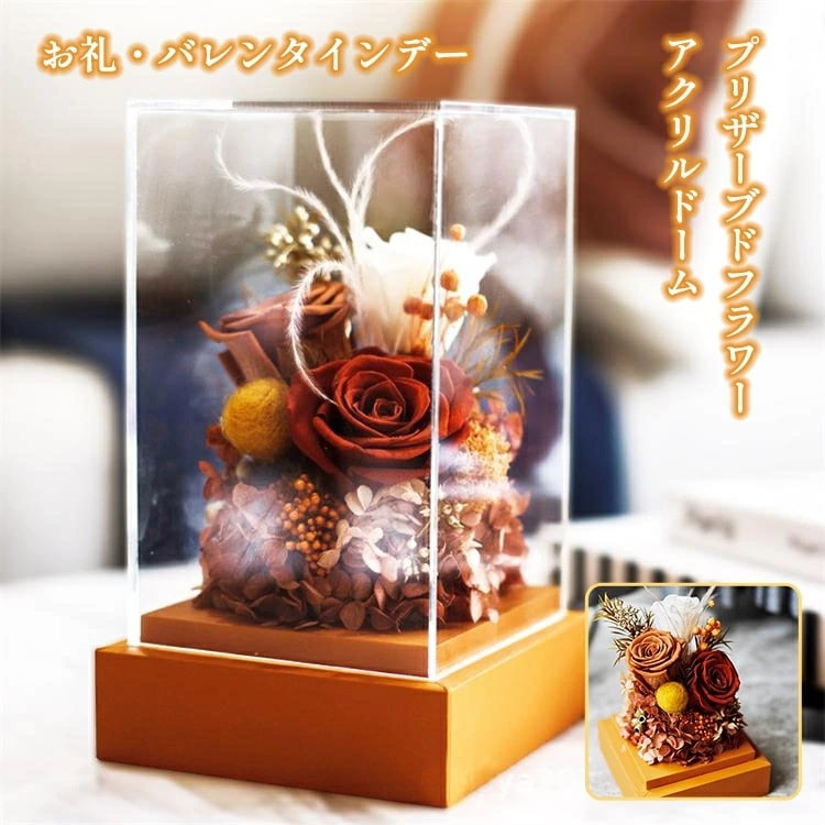 プリザーブドフラワー バラ フラワー ローズ アクリルドーム ブリザードフラワー ブリザード プリザーブ プリザーブド ギフト 花 贈り物 プレゼント 卒業 成人式 退職 結婚 お礼 誕生日 バレンタ