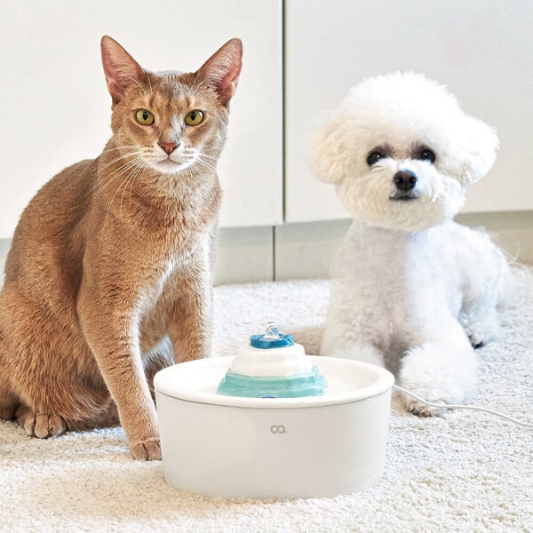 おいで ペット 犬 猫 浄水器 自動給水器 陶器 水飲み場 三重フィルタリング