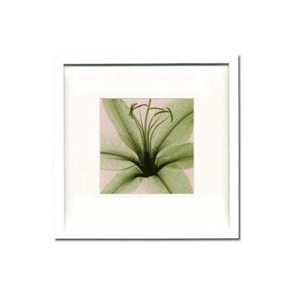 ファブリックパネル アートフレーム 飾り おしゃれ 花 壁掛け ウォールデコレーション 幻想的 植物 レントゲン インパクト Lily 350x350mm