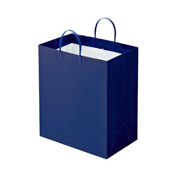 (まとめ) TANOSEE ラミネートバッグ マチ広 ヨコ350×タテ400×マチ幅220mm 紺 1パック（10枚） (×5セット)