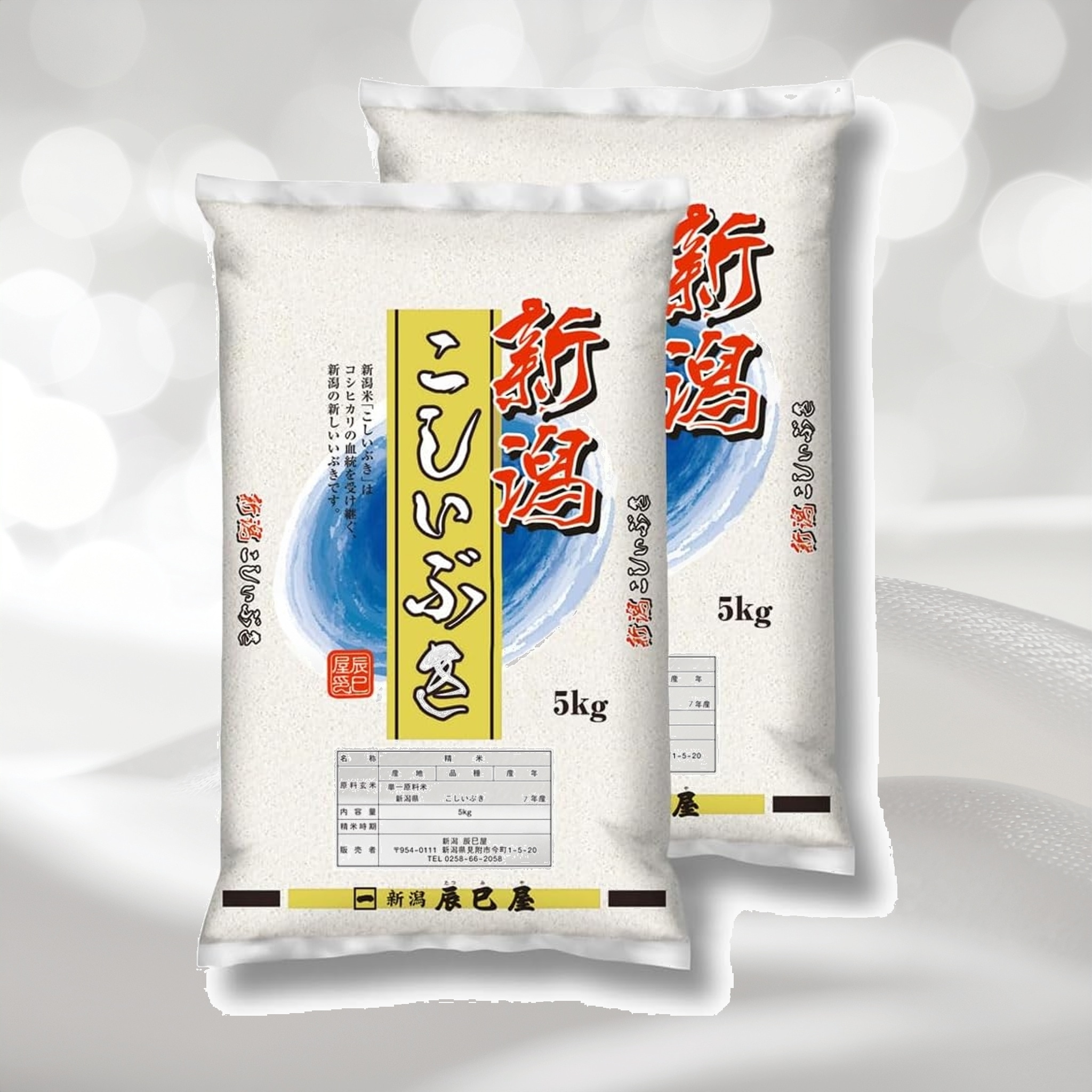 精米 新潟県産 こしいぶき 10kg (5kg×2袋) 白米 新潟辰巳屋 令和7年産