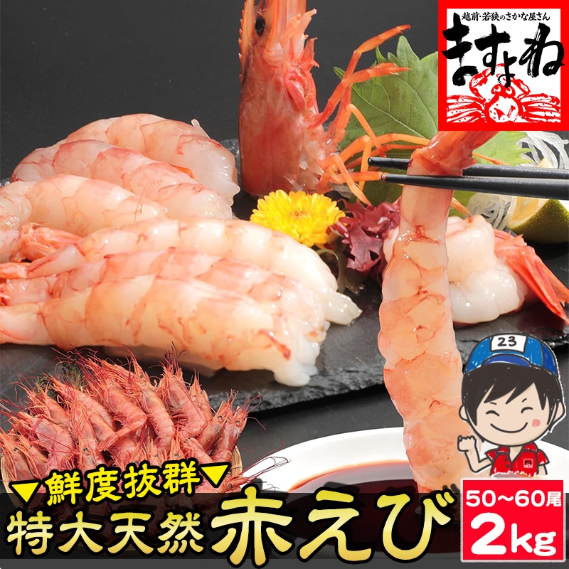 お刺身OK プリプリ食感の特大 天然 赤えび 2kg 赤海老 50-60尾 【ギフトのし対応】