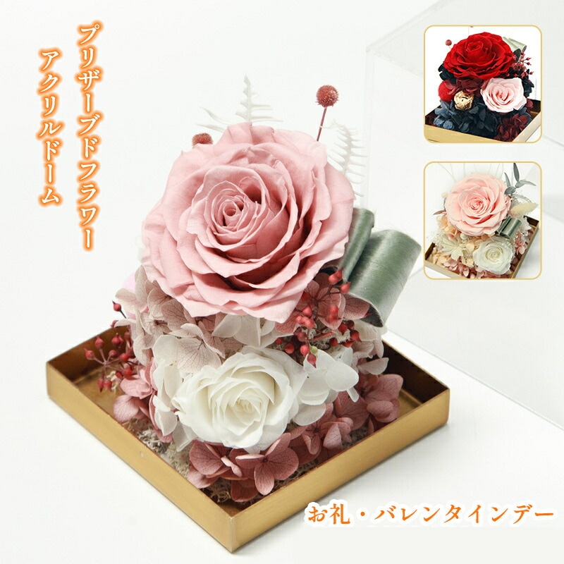 プリザーブドフラワー バラ フラワー ローズ アクリルドーム ブリザードフラワー ブリザード プリザーブ プリザーブド ギフト 花 贈り物 プレゼント 卒業 成人式 退職 結婚 お礼 誕生日 バレンタ