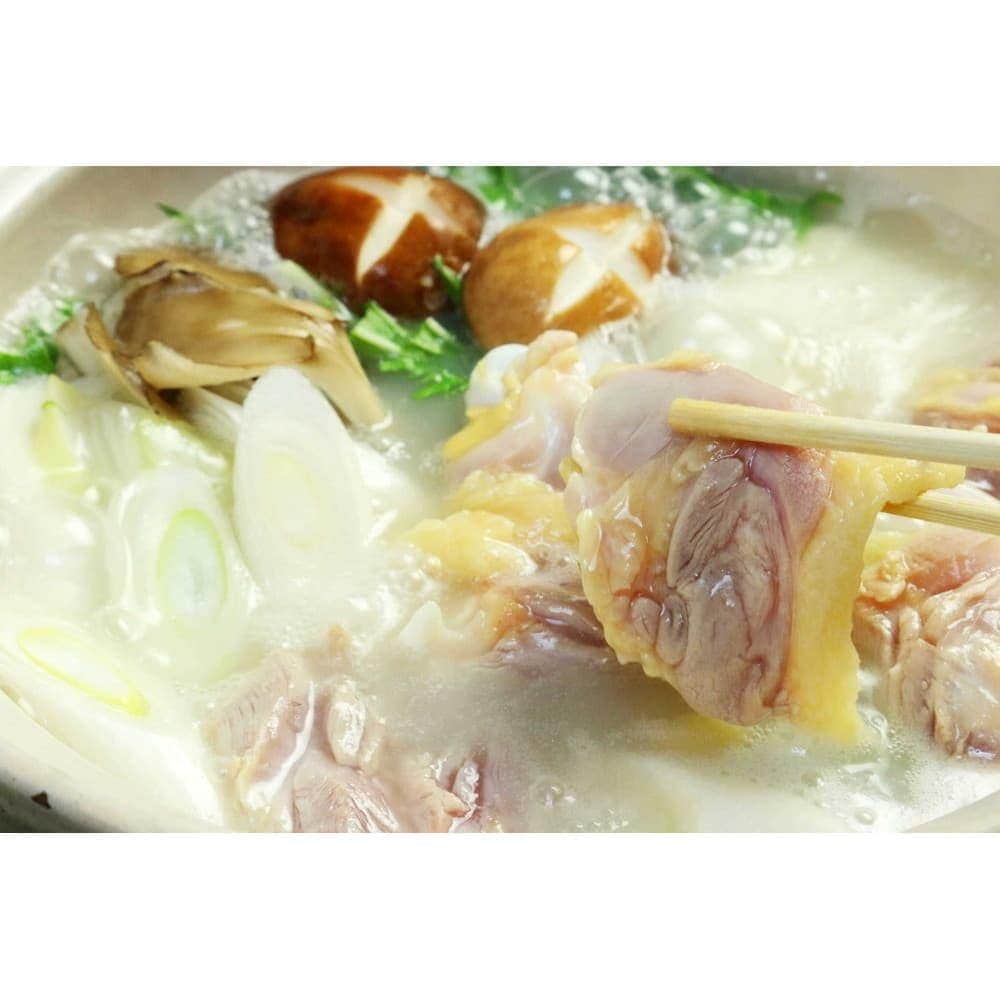 ギフト 鴨肉 鍋セット 料理旅館呑龍 宅配鍋シリーズ 三河鶏のコラーゲン鍋 4人前 三河鶏 愛知