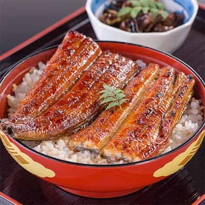 【専門店の味!!】うなぎの蒲焼き 1kg(100g×10パック) 鰻 ウナギ うな丼 ひつまぶし