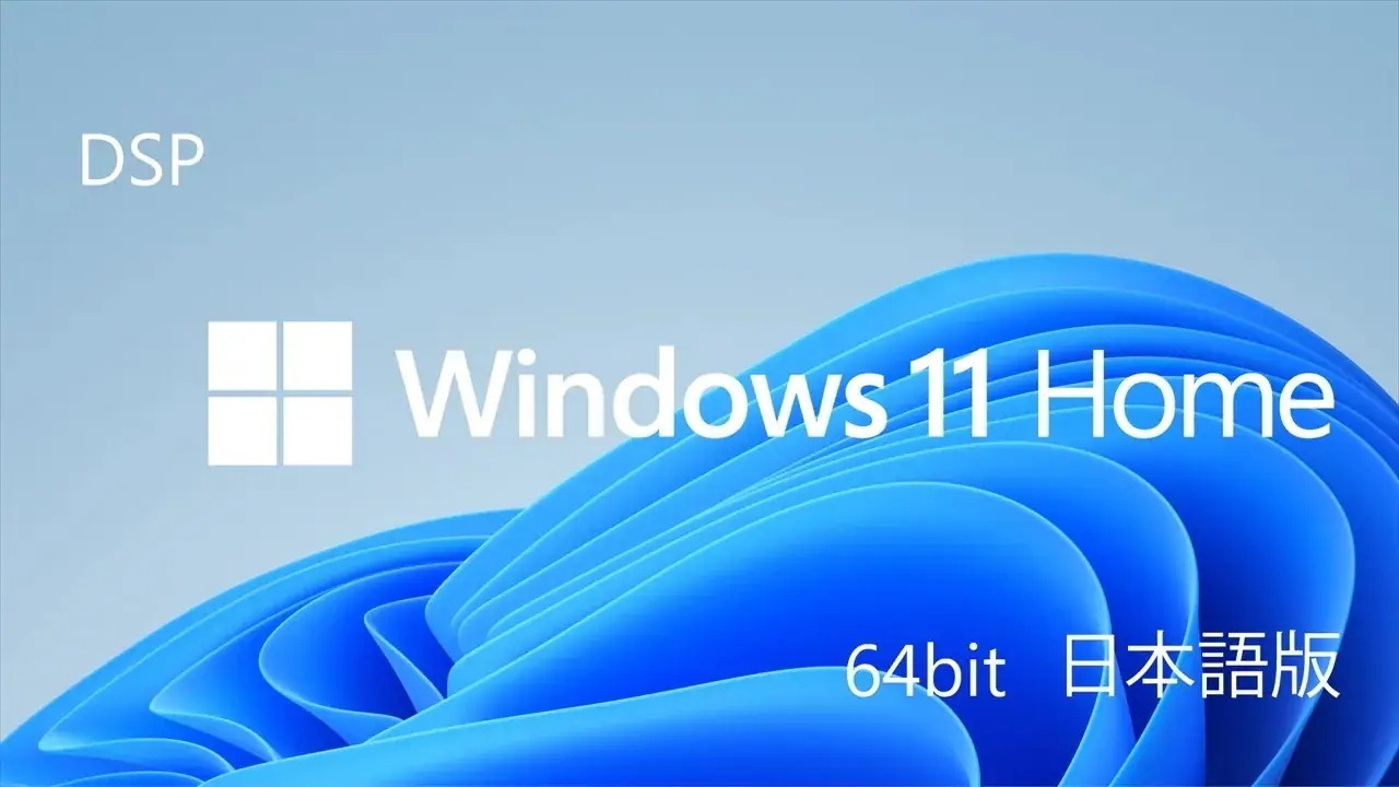 Windows 11 Home 64bit 日本語 DSP版