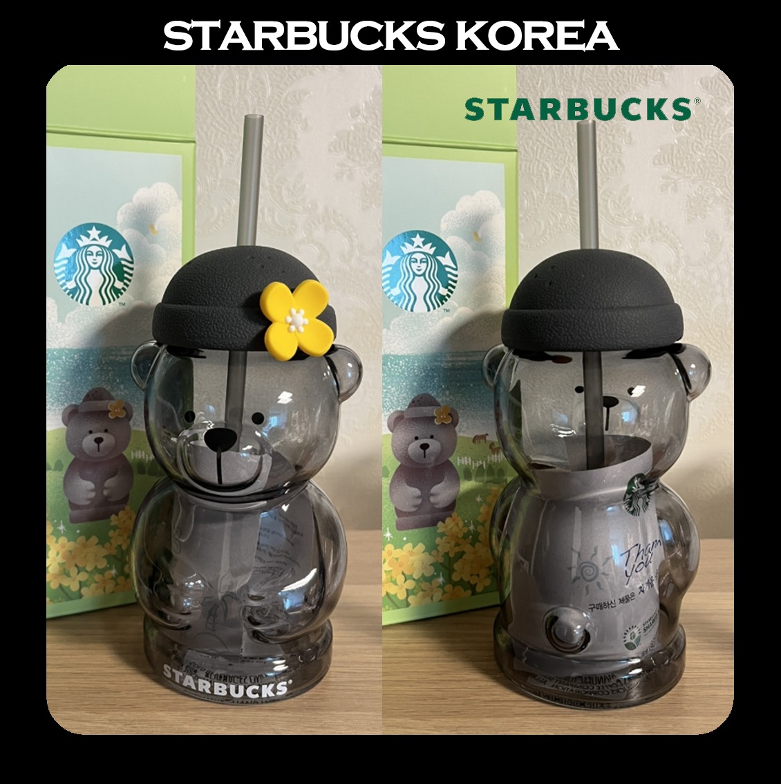 韓国限定品 JEJU MD Jeju Bearista Glass ColdCup 591ml