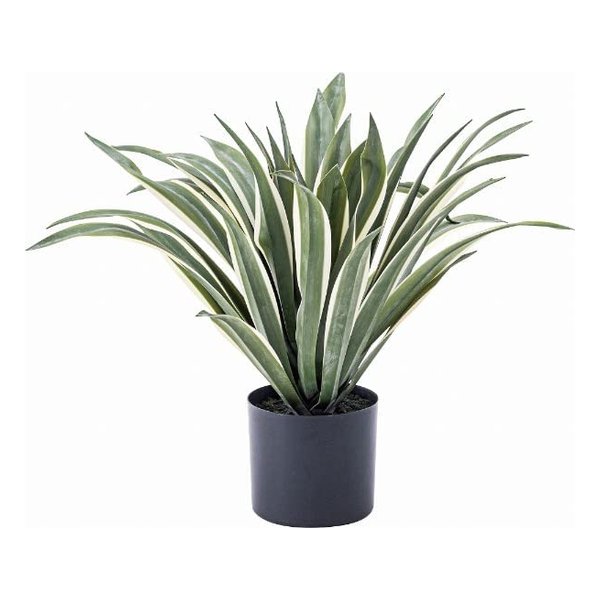 フェイクグリーン アガベ 約W63×D63×H50 GRN-13