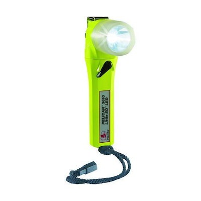 真作/貫名海屋/海客/南天水仙図/12月の花/掛軸/名家伝来/AE-3 【公式通販】