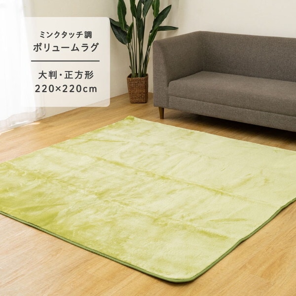 1280500120903 cpウェンデル 大判正方形 GN 220×220 グリーン カーペット (ボリュームラグ) メーカー直送