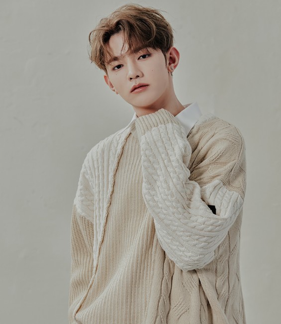 [ZB1 24 SPコレクション] TONE ON TONE MIX KNIT